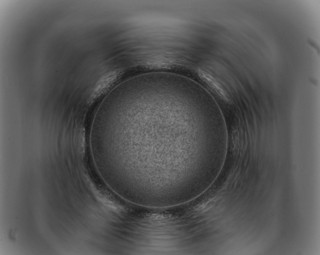 X0000091730494200708311205