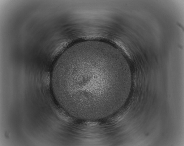 X0000091730495200708311205