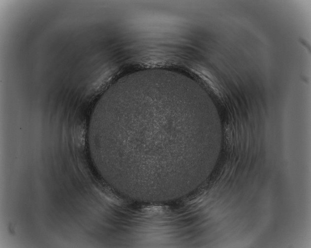 X0000091730499200708311205