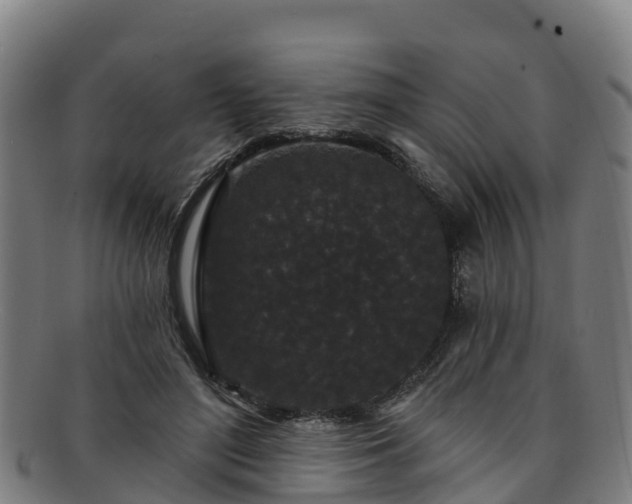 X0000091730500200708311205