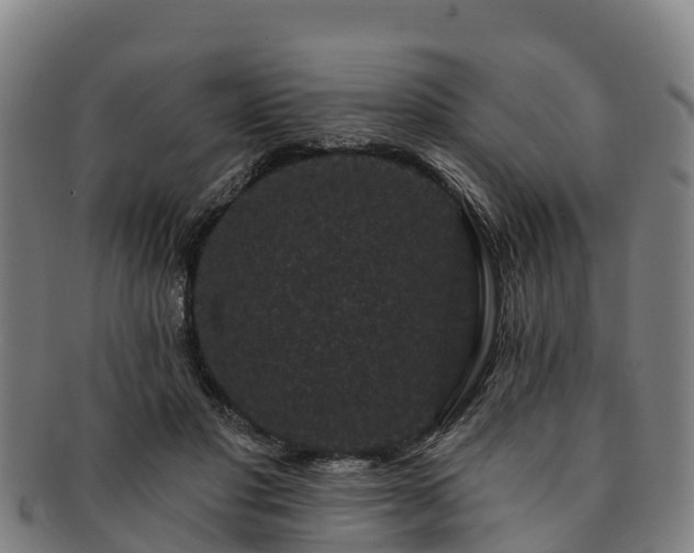 X0000091730501200708311205