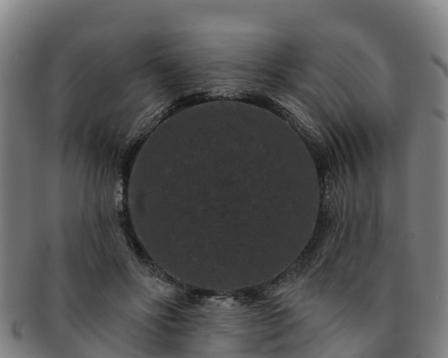 X0000091730502200708311205