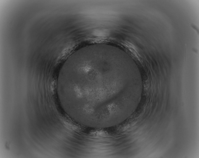 X0000091730503200708311205