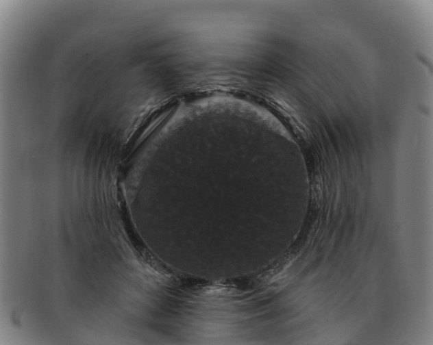 X0000091730504200708311205