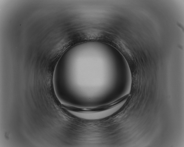 X0000091730505200708311205