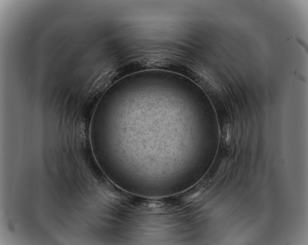 X0000091730506200708311205