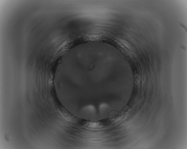 X0000091730507200708311205