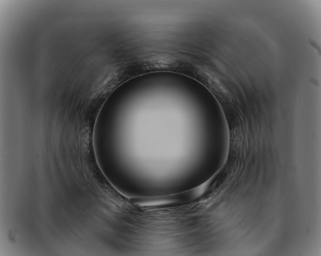 X0000091730509200708311205