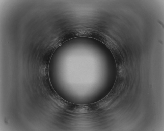 X0000091730514200708311205