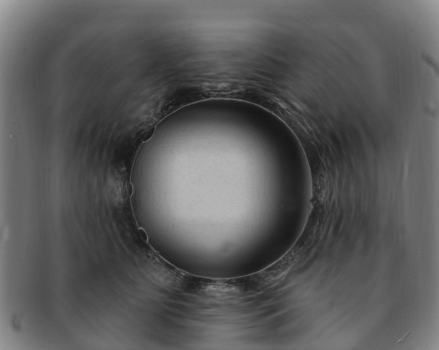 X0000091730515200708311205