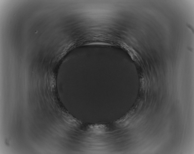 X0000091730517200708311205