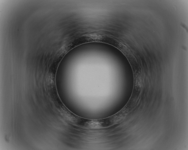 X0000091730518200708311205