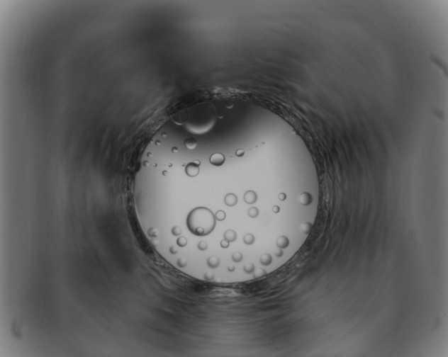 X0000091730519200708311205