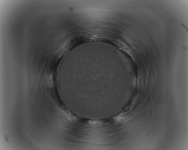 X0000091730520200708311205