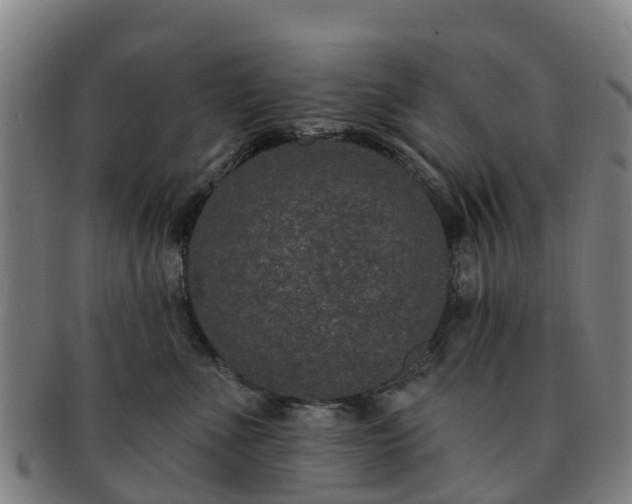 X0000091730523200708311205