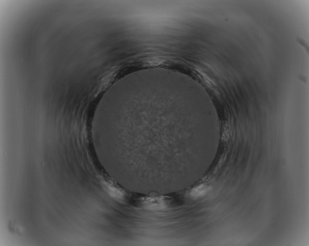 X0000091730524200708311205