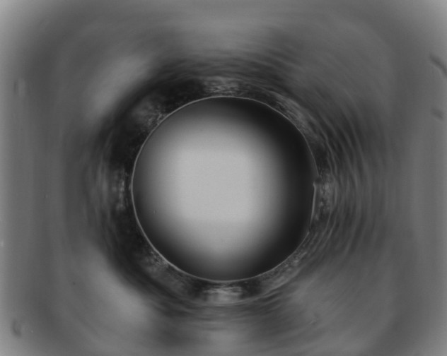 X0000091730525200708311205