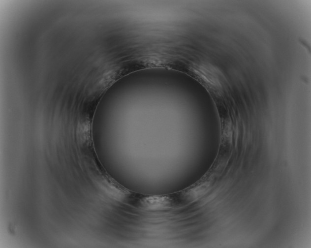 X0000091730526200708311205