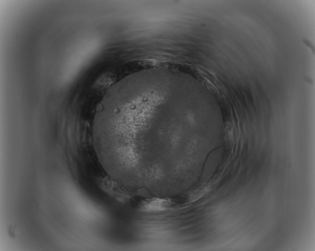 X0000091730527200708311205