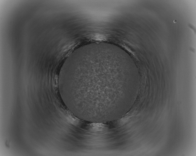 X0000091730528200708311205