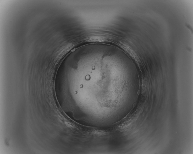 X0000091730529200708311204