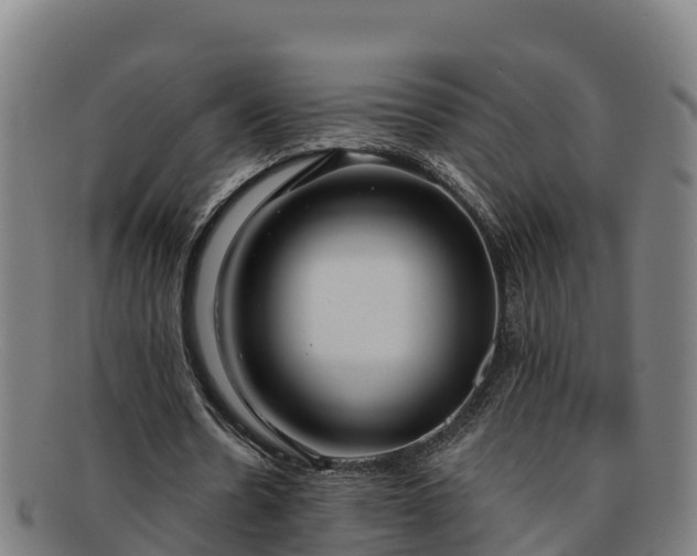 X0000091730530200708311204