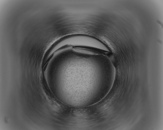 X0000091730532200708311204