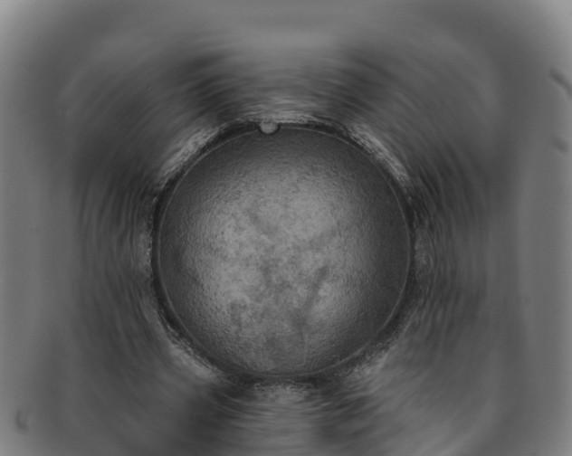 X0000091730533200708311204