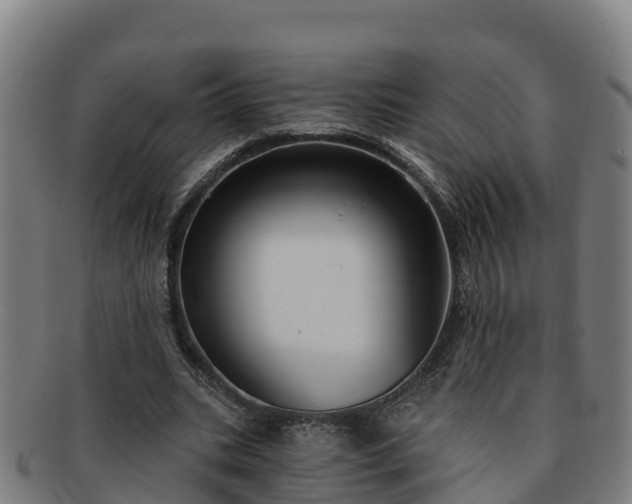X0000091730535200708311204