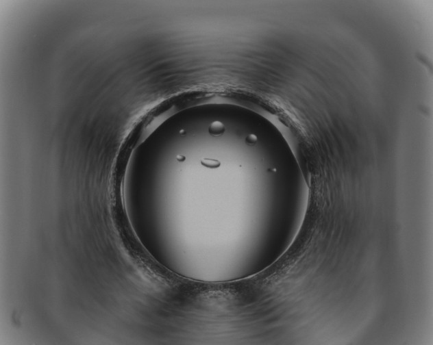 X0000091730536200708311204