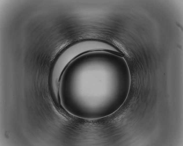 X0000091730538200708311204