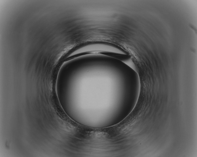 X0000091730539200708311204