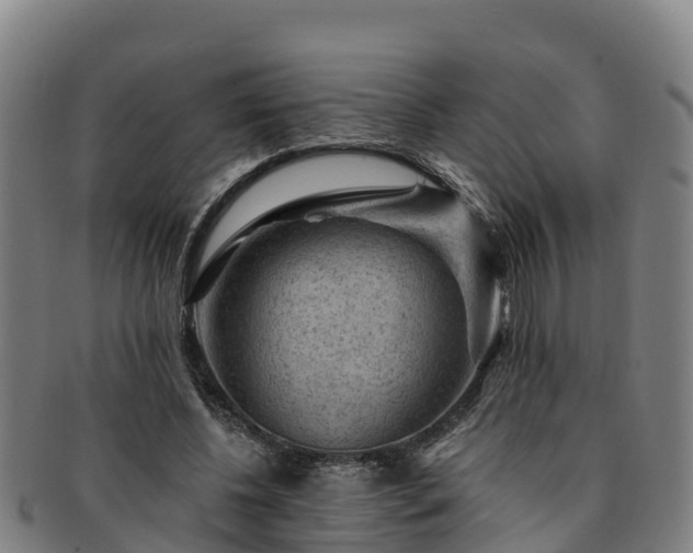 X0000091730540200708311204