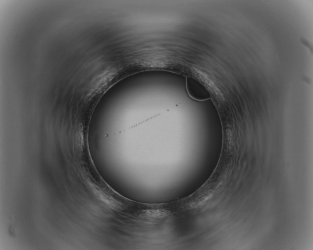 X0000091730541200708311204