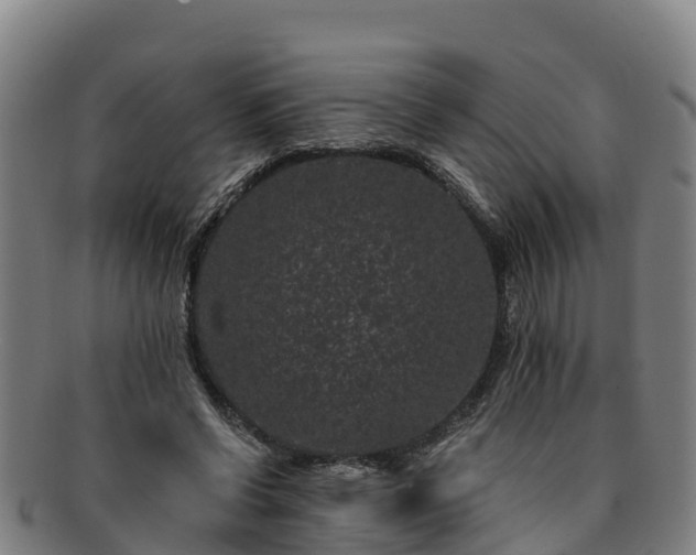 X0000091730542200708311204