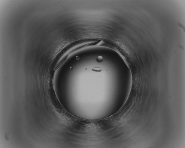 X0000091730544200708311204