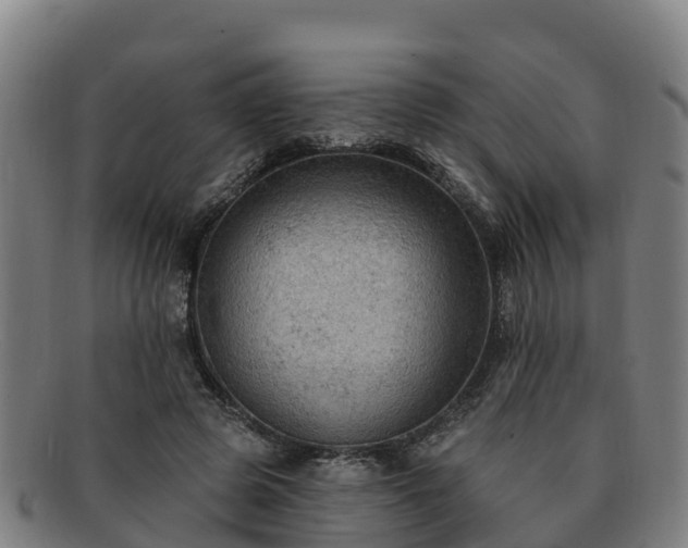 X0000091730545200708311204