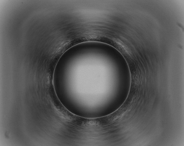 X0000091730546200708311204