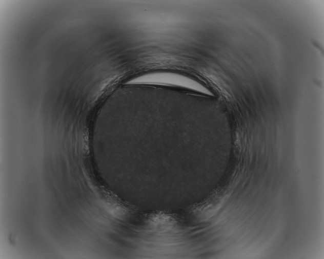 X0000091730547200708311204