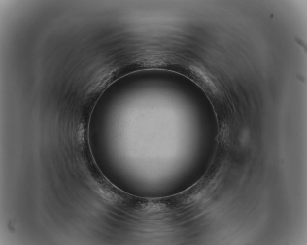 X0000091730549200708311205