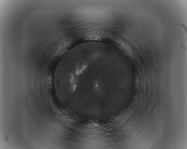 X0000091730551200708311205