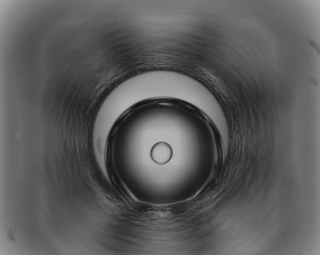 X0000091730552200708311205