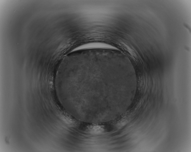 X0000091730553200708311205