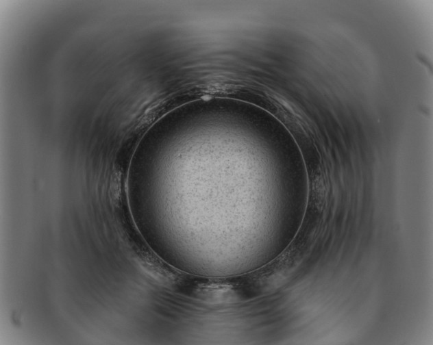 X0000091730554200708311205