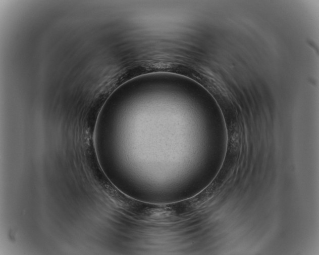 X0000091730555200708311205