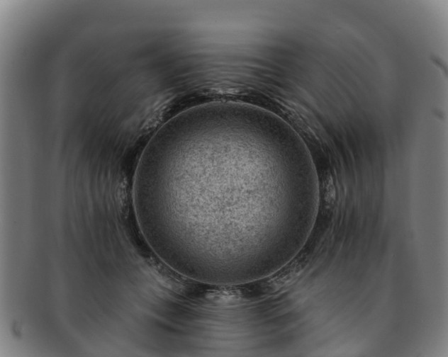 X0000091730559200708311205