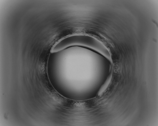 X0000091730560200708311205