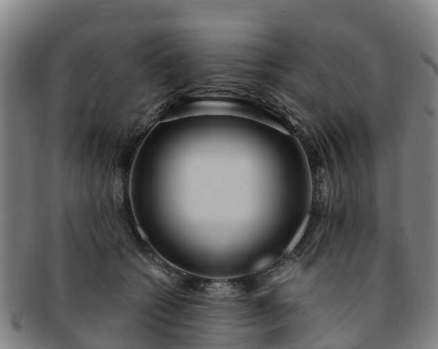 X0000091730562200708311205