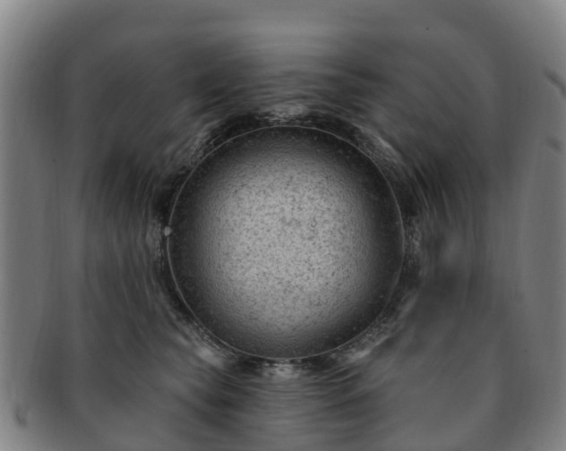 X0000091730565200708311205