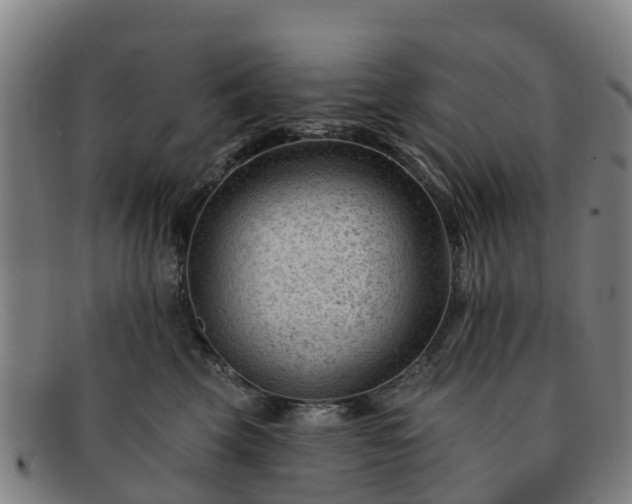 X0000091730569200708311205